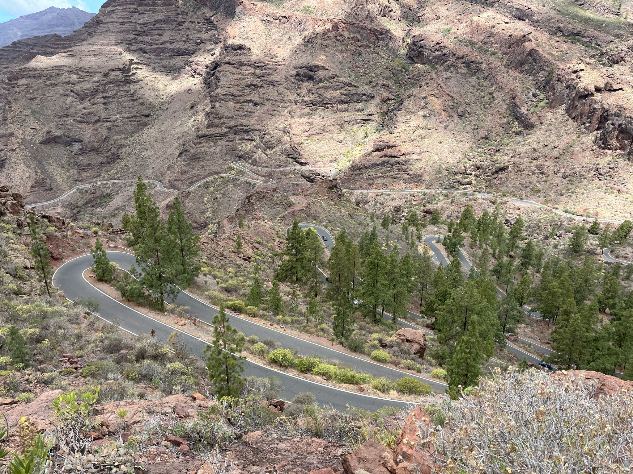 ISLAS CANARIAS TENERIFE 2026 - Imagen 20